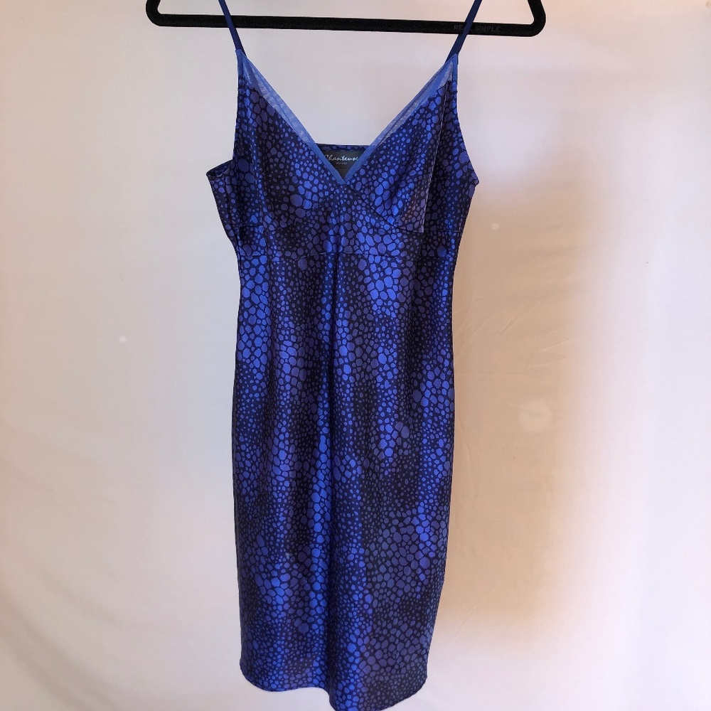 Chanteuse Nightgown Slip Dress / Chemise